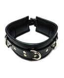 Rouge Leather Padded 3 D Ring Collar - Black